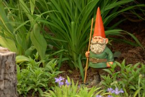 garden gnome