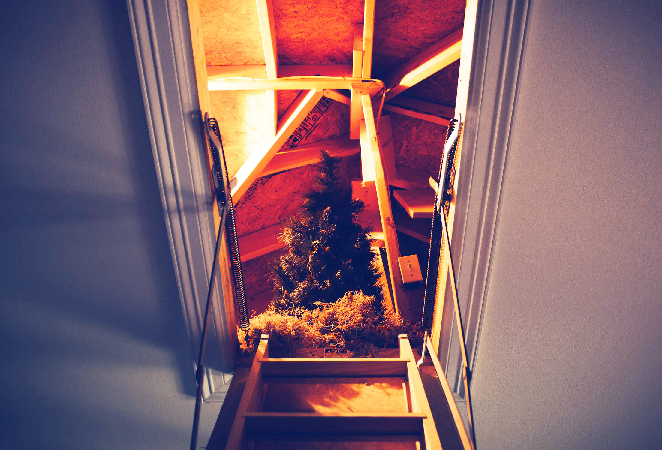 attic holiday storage space