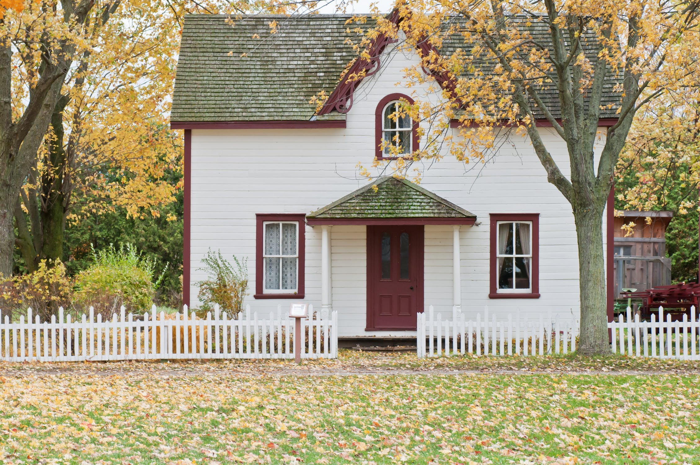 tiny home with fall leaves