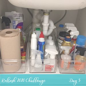 Cleaning Supplies and Tool Organization During our Refresh 2020 5 Day Challenge