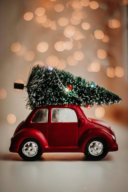 christmas tree on vw bug