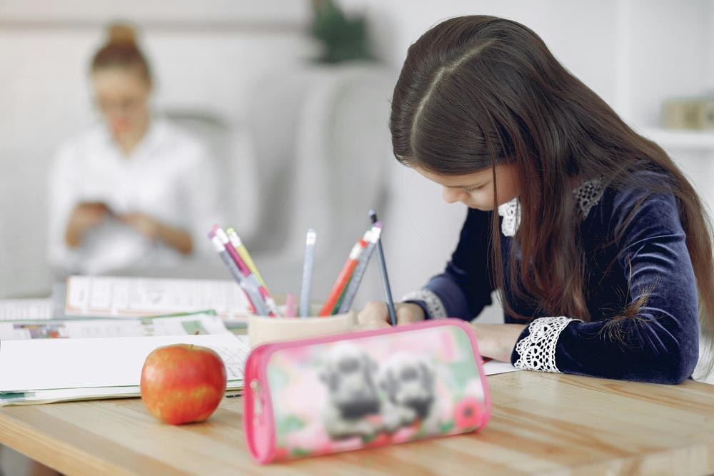 student studying at home